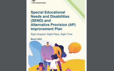 SEND & AP Improvement Plan: Technical Solutions to Evidencing National Standards
